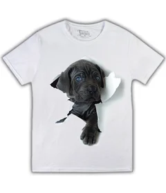 собака выходит